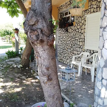 Miltos 3* Λεπτοκαρυά